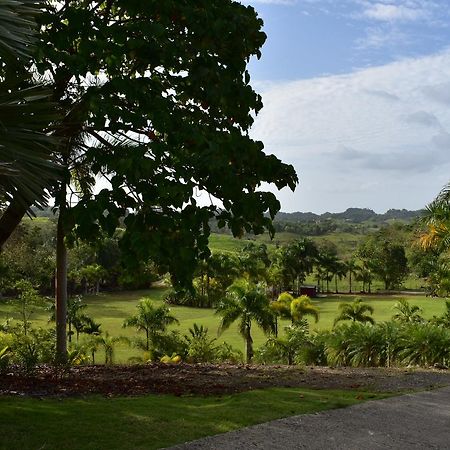 Hotel Hacienda Agroturistico Vista Hermosa Camuy Dış mekan fotoğraf