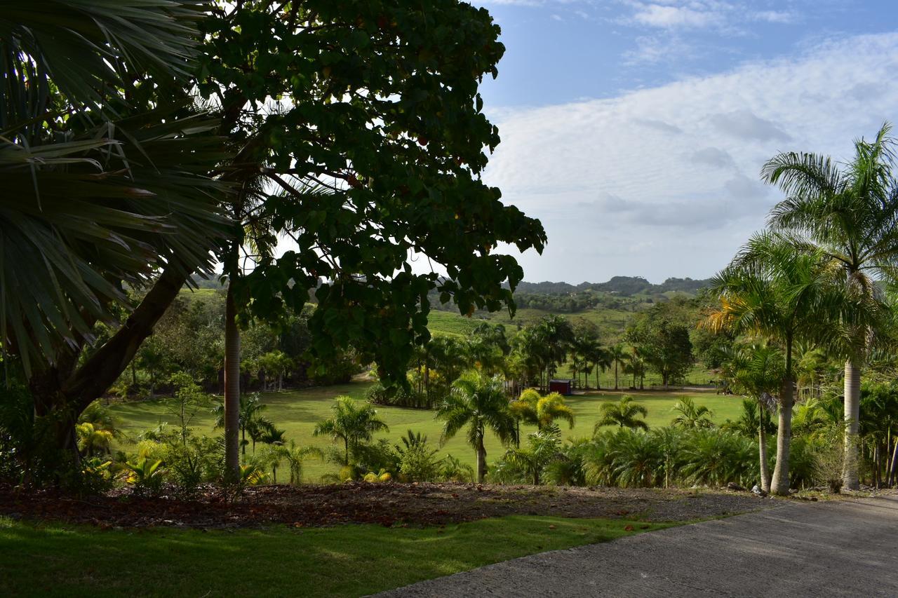 Hotel Hacienda Agroturistico Vista Hermosa Camuy Dış mekan fotoğraf